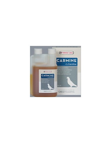 CARMINE+ L-Carnitine 250 ml