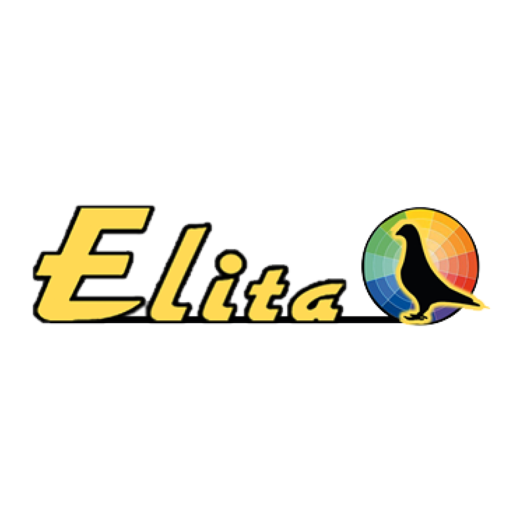 Żółto-czarne logo z napisem "Elita" pochyloną, dynamiczną czcionką z czarnym obrysem. Po prawej stronie napisu znajduje się okrągły symbol podzielony na kolorowe segmenty w tęczowych barwach, z czarną sylwetką gołębia na pierwszym planie, zwróconego w lewo.
