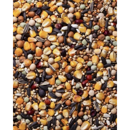 AGRO KING PL+ - PIERZENIOWA LUX