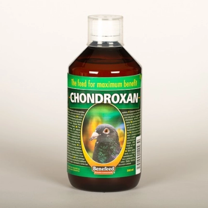 CHONDROXAN gołąb 500 ml BENEFEED